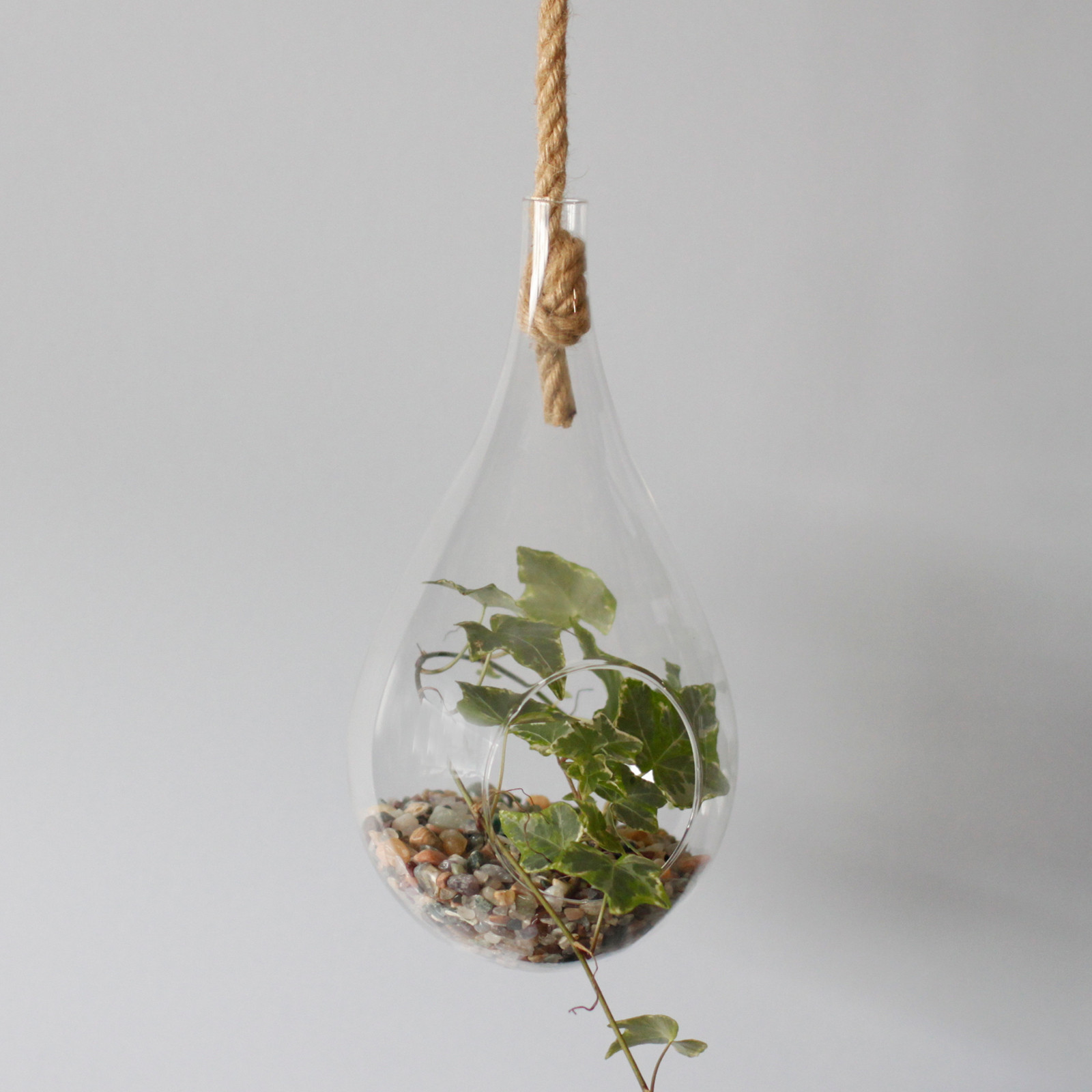 Wholesale Glass Terrarium Hanging Teardrop on Rope AWGifts Europe